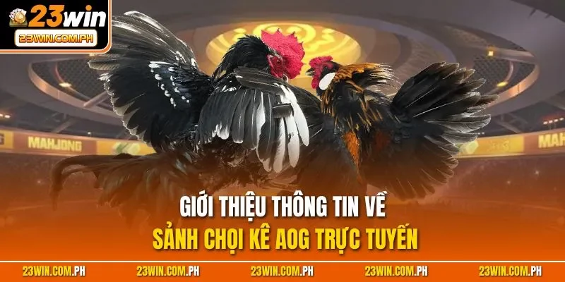 AOG Đá Gà - Sảnh Chọi Kê Mạng Đỉnh Cao Nhất Tại Việt Nam 2 Giới thiệu thông tin về sảnh chọi kê AOG trực tuyến
