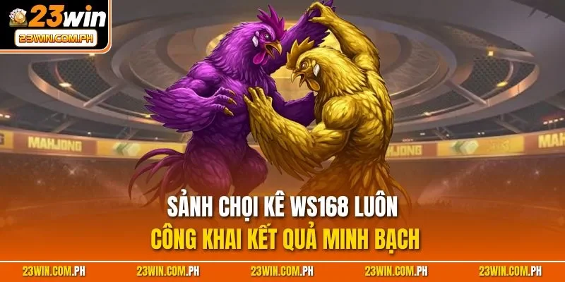 Đá Gà WS168 – Đấu Trường Chọi Kê Online Đặc Sắc Tại 23WIN 3 Sảnh chọi kê WS168 luôn công khai kết quả minh bạch