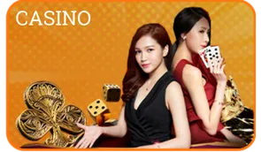 23WIN 65 casino 23win