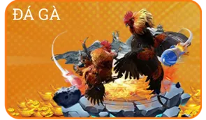 23WIN 68 đá gà 23win